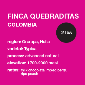 **NEW** COLOMBIA Finca Quebraditas 2 lbs. bag