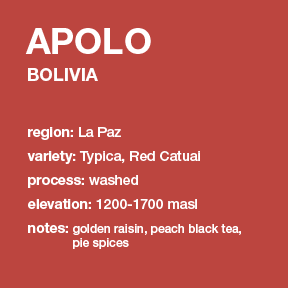 **NEW** BOLIVIA Apolo 12 oz. bag