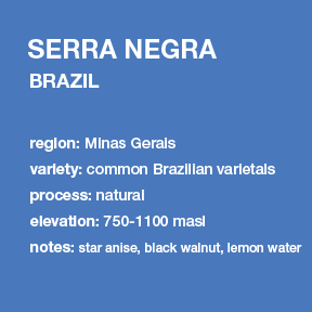 **NEW** BRAZIL Serra Negra 12 oz. bag