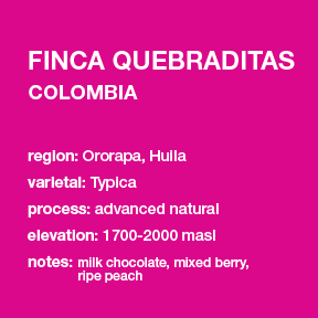 **NEW** COLOMBIA Finca Quebraditas 12 oz. bag