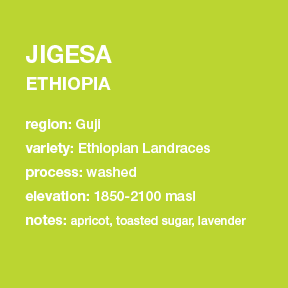 **NEW** ETHIOPIA Jigesa 12 oz. bag