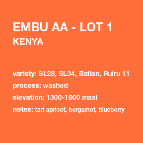 **NEW** KENYA Embu AA 12 oz. bag