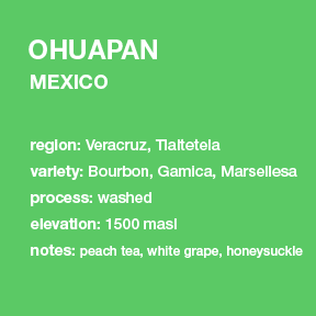 **NEW** MEXICO Ohuapan 12 oz. bag