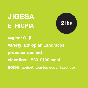 **NEW** ETHIOPIA Jigesa 2 lbs. bag
